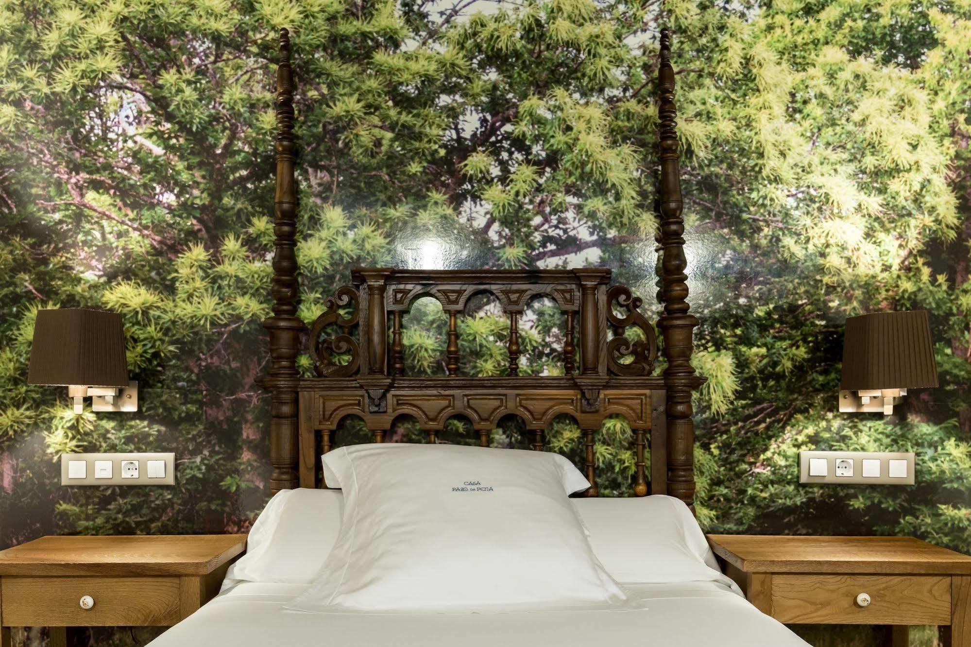 Pazo Da Pena Hotel Manzaneda (Ourense)
